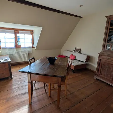 Les Perles Du Ried - Gite 8 - 15Mn Europapark - Proche Strasbourg Colmar Apartment *