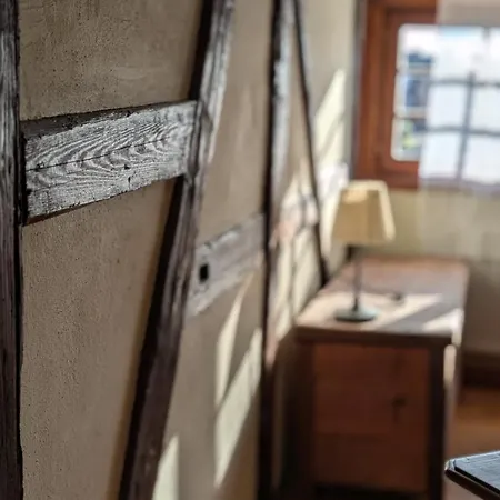 Apartment Les Perles Du Ried - Gite 8 - 15Mn Europapark - Proche Strasbourg Colmar