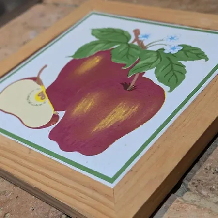 Apartment Les Perles Du Ried - Gite 8 - 15Mn Europapark - Proche Strasbourg Colmar