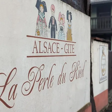 Les Perles Du Ried - Gite 8 - 15Mn Europapark - Proche Strasbourg Colmar Apartment